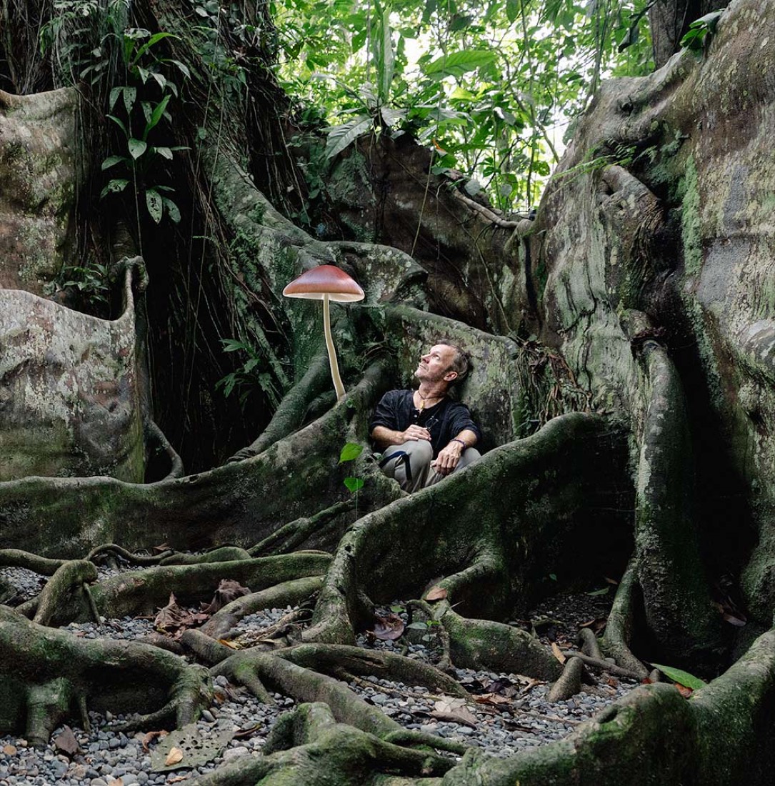 Rob Nelson sitting beneath giant rainforest buttress roots, looking up at a mushroom