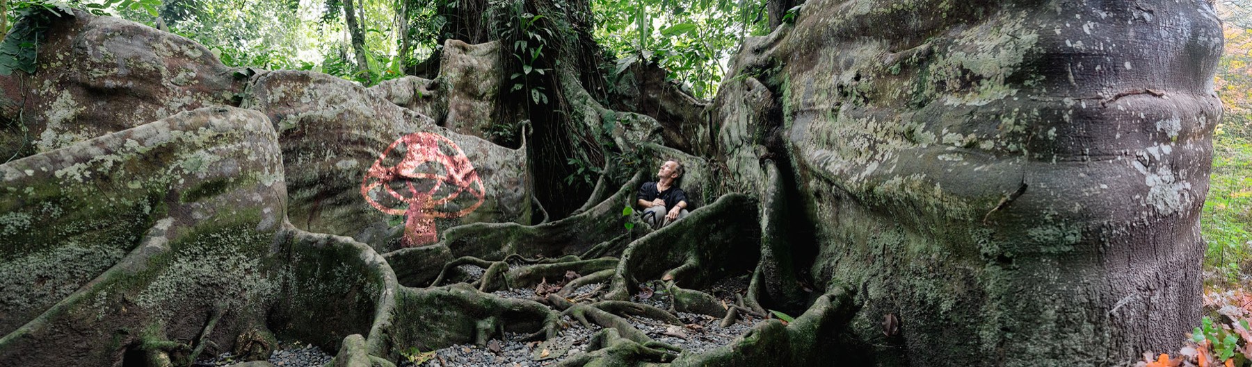 Rob Nelson sitting among giant buttress roots in a Costa Rican rainforest, beside ancient mushroom rock art