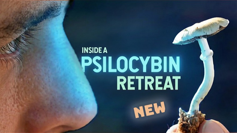 Film still: Inside a Psilocybin Retreat