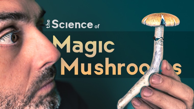 Film still: The Science of Magic Mushrooms