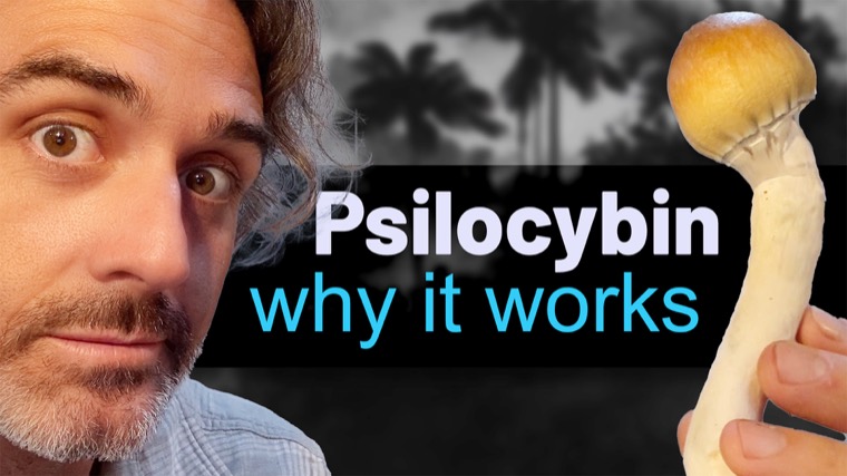 Film still: Psilocybin — Why It Works